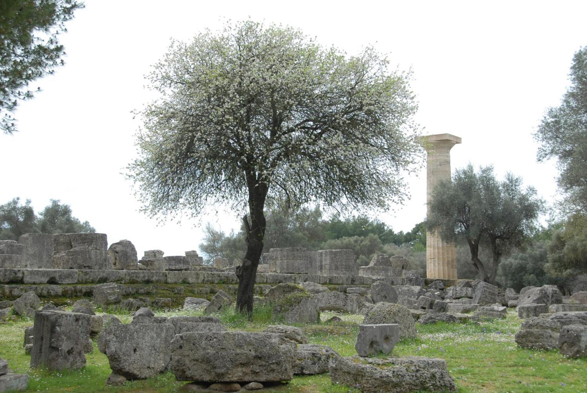 Fotis Rooms سكافيديا المظهر الخارجي الصورة